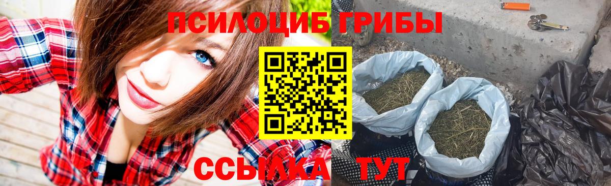 Галлюциногенные грибы Psilocybe  Галлюциногенные грибы Psilocybe  Рубцовск  Вход с VPN 